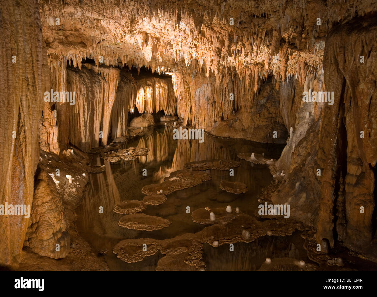 Onondaga limestone hires stock photography and images Alamy
