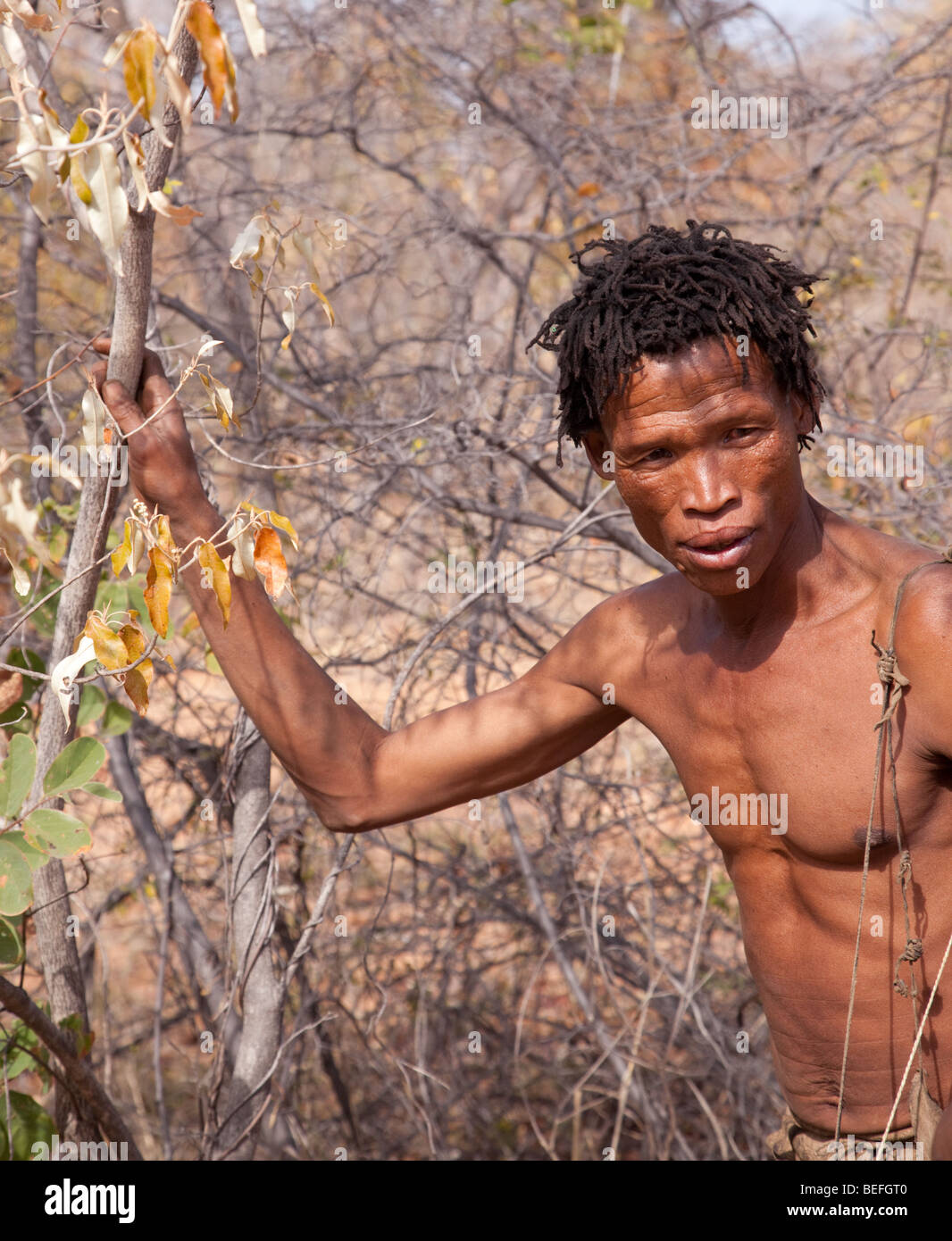San Village. A San hunter in the bush. Stock Photo