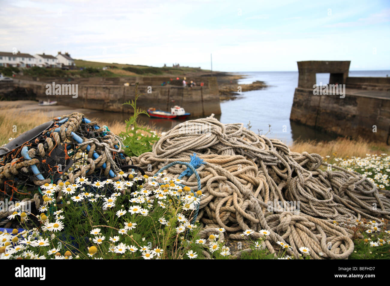 "Craster harbour", Old rope and lobster pot on quay side