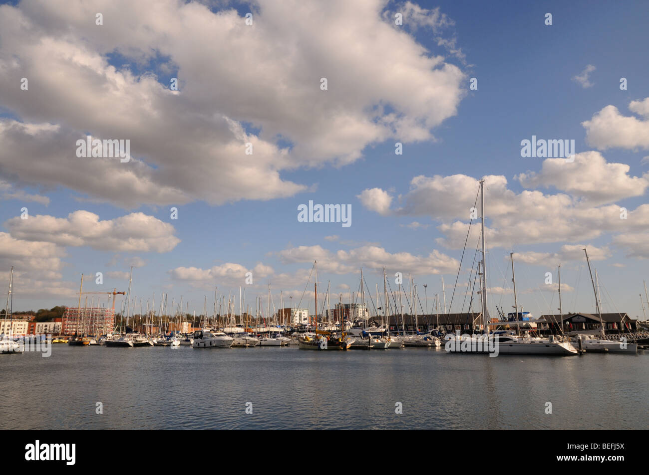 Neptune Marina Ipswich Suffolk Stock Photo Alamy