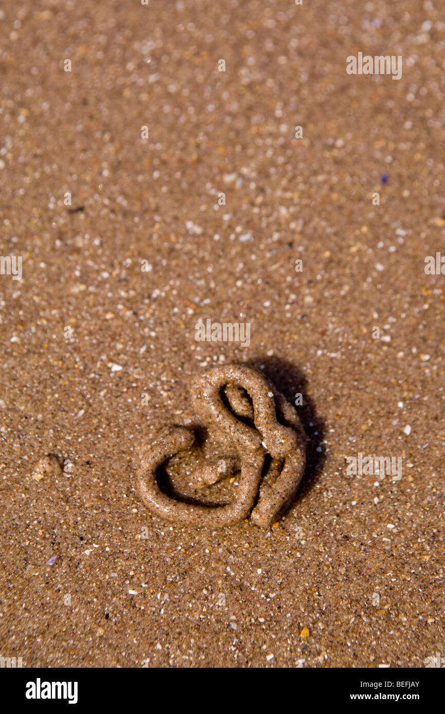 Worm cast on beach hi-res stock photography and images - Alamy