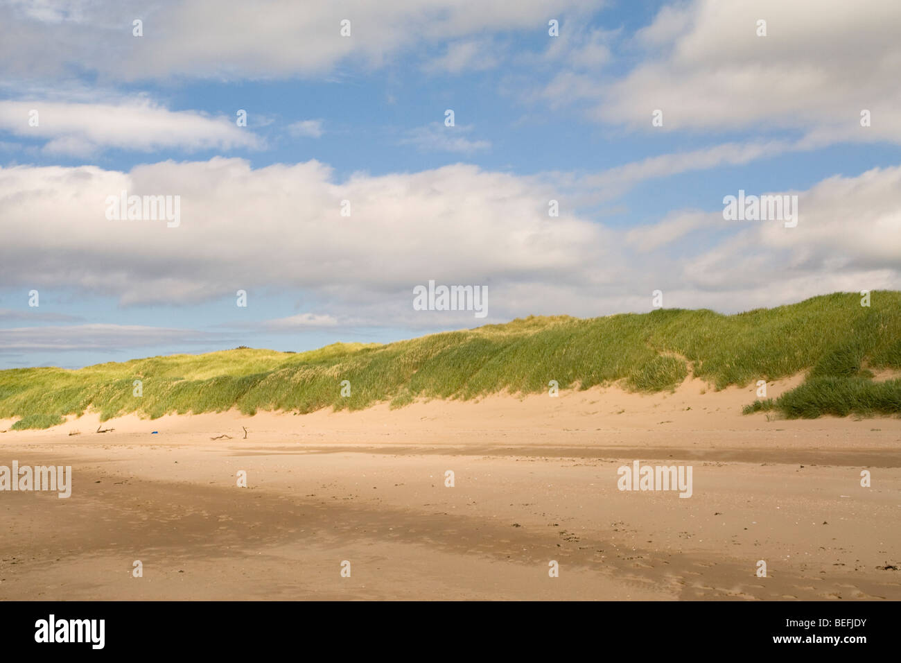 Aberlady bay scotland hi-res stock photography and images - Alamy