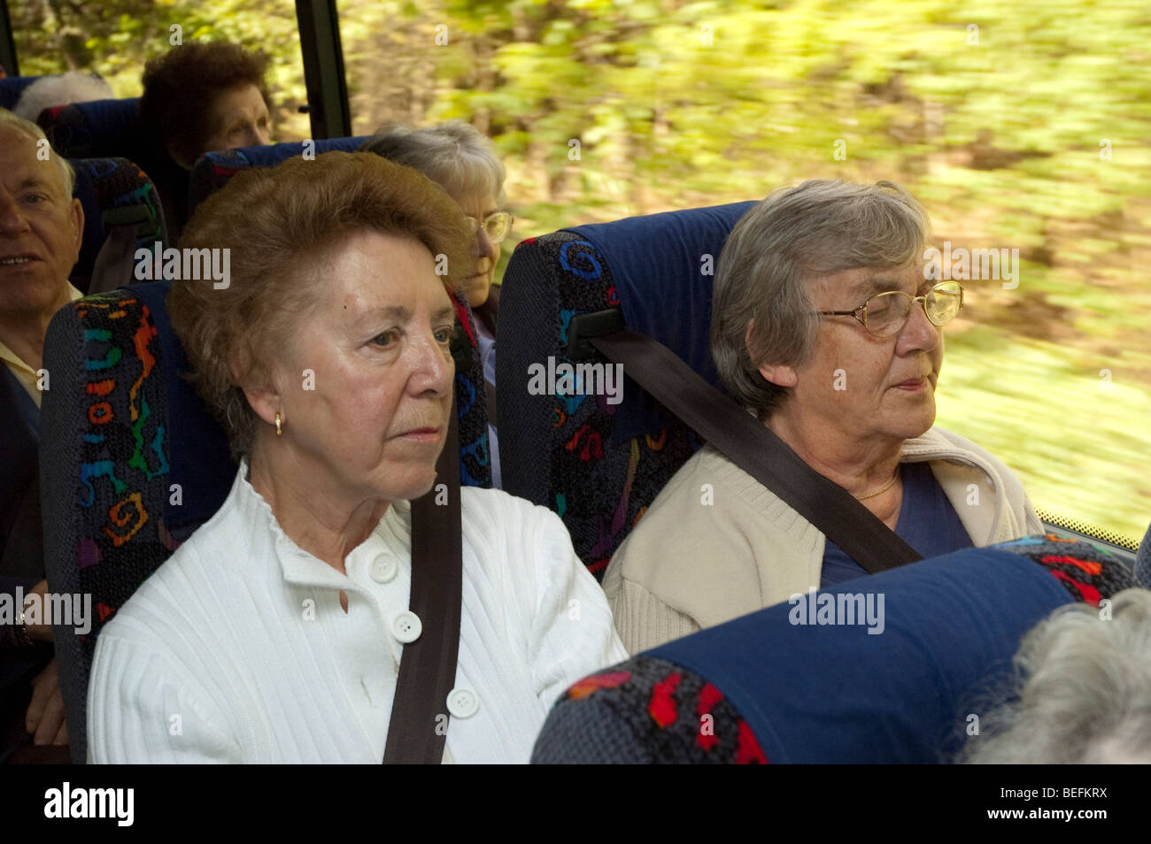 two Elderly lady Passengers in a coach wearing seat belts Stock Photo Alamy