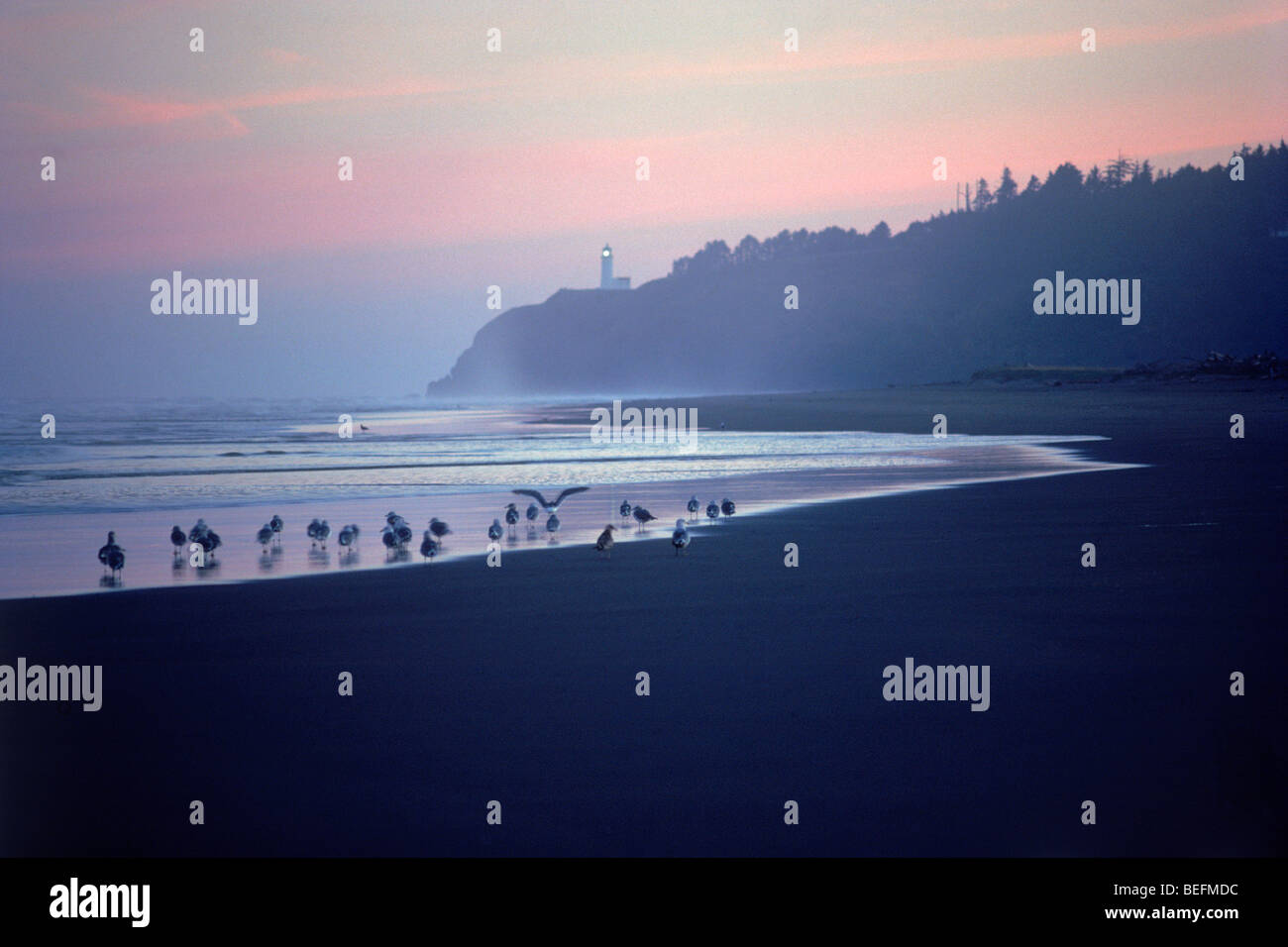 North Head Lighthouse at entrance to Columbia River on Long Beach Peninsula in Washington with seagulls on sandy shore at dawn Stock Photo