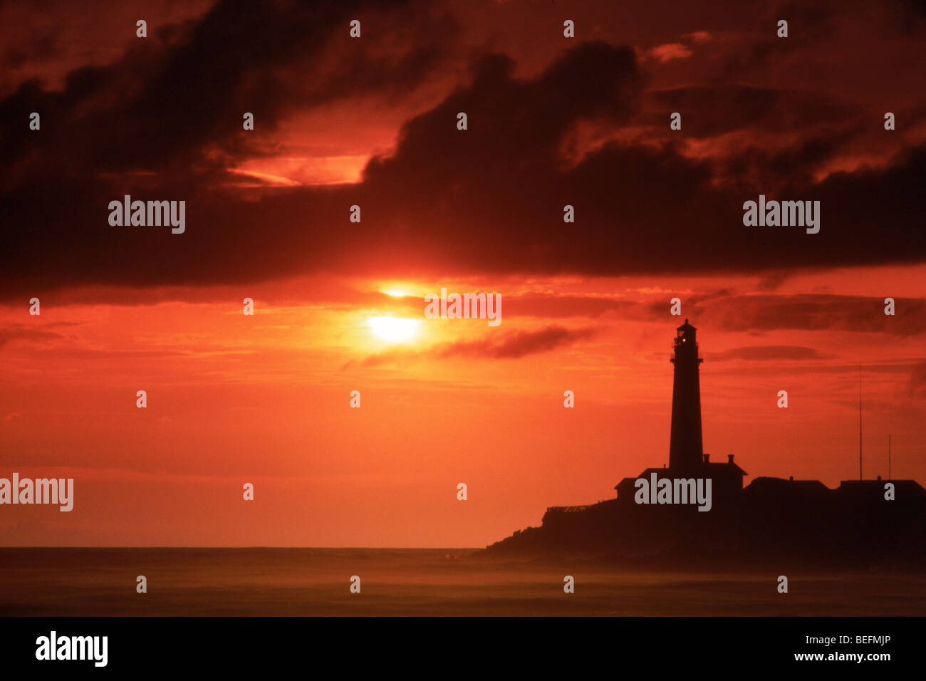 Pigeon Point Lighthouse in California at sunset Stock Photo