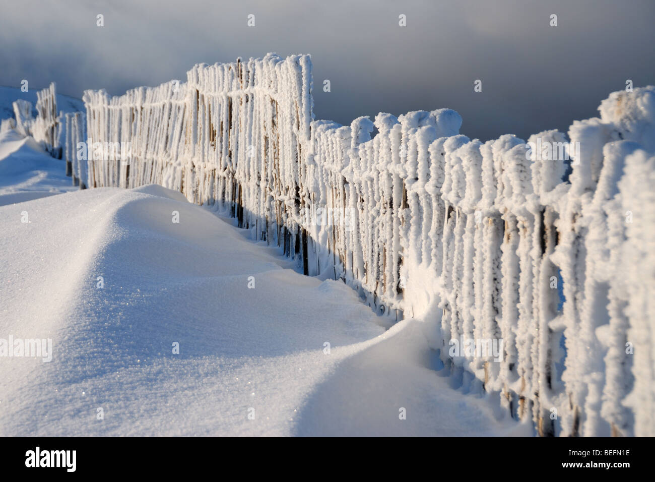Winter snow and hoarfrost on a fence on Aonach Mor in Scotland Stock Photo