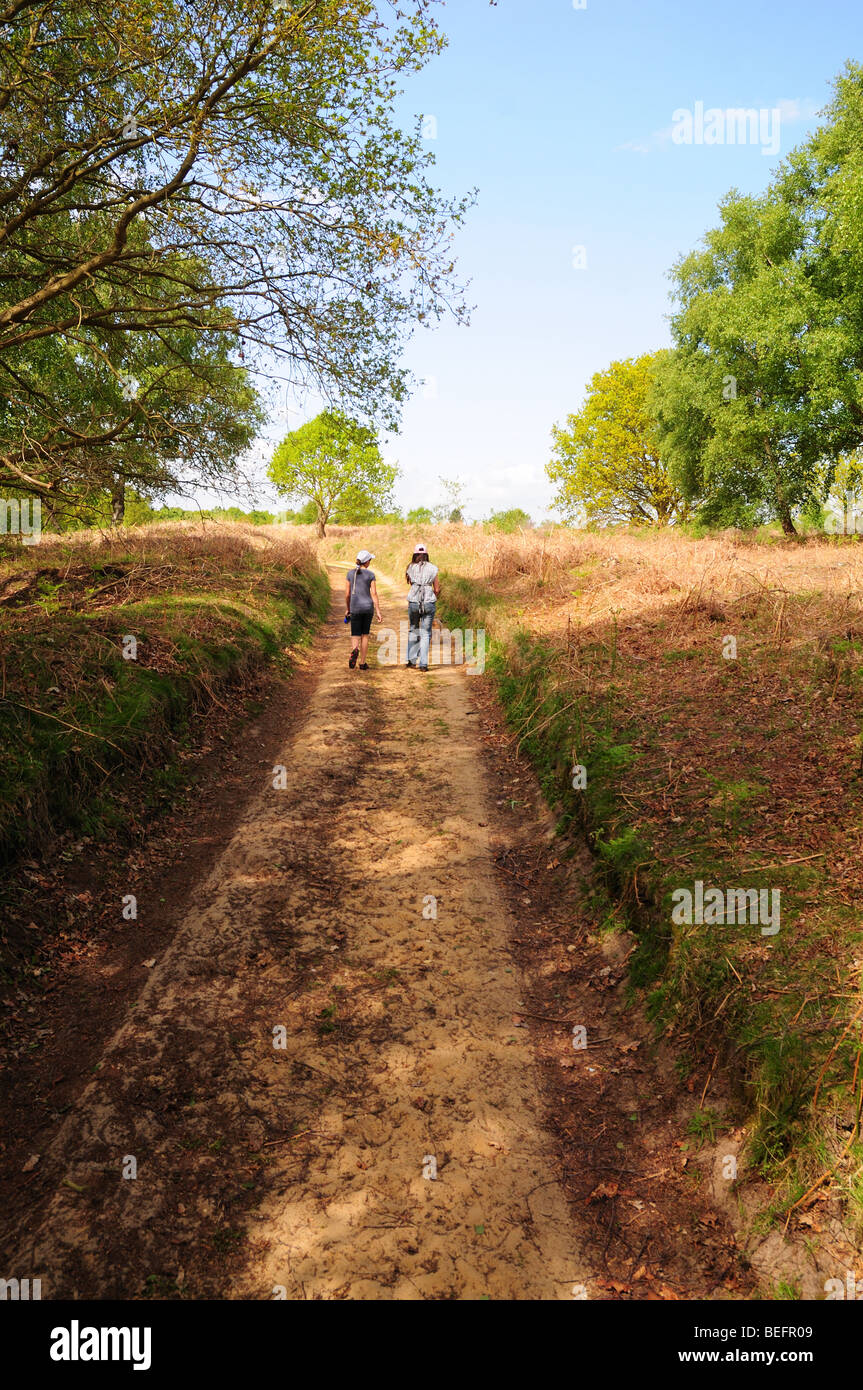 Young Children walking on woodland Path, Tunstall Suffolk Stock Photo