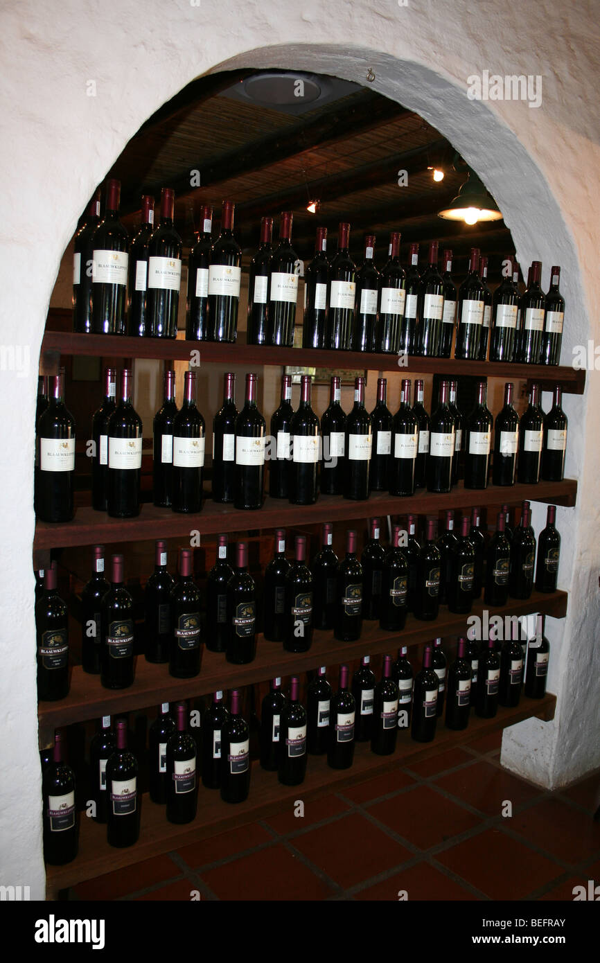 Tasting Room In The Blaauwklippen Wine Centre, nr Stellenbosch, South Africa Stock Photo