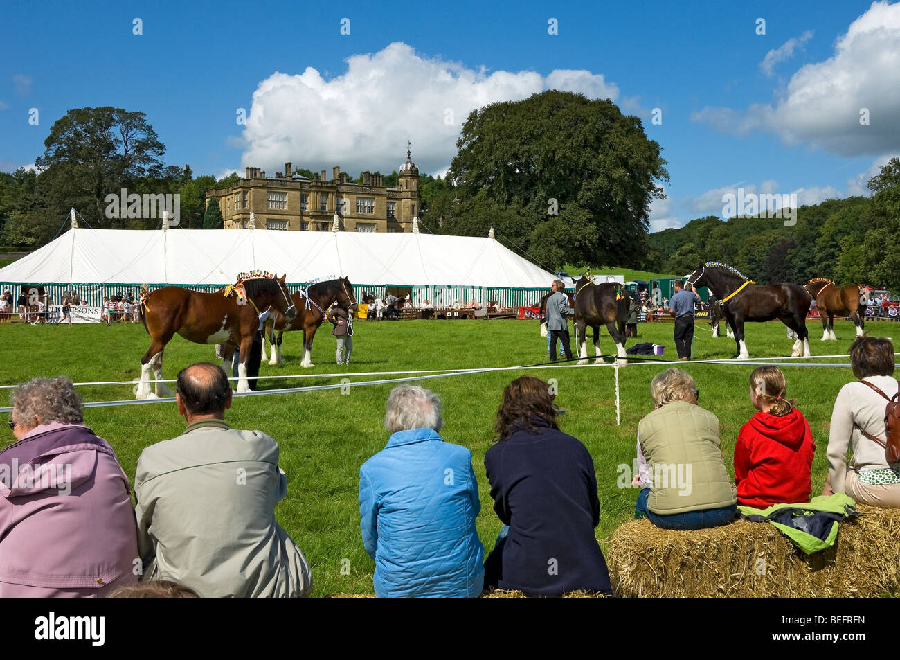 Spectators watching heavy horse competition Gargrave Show near Skipton North Yorkshire England UK Stock Photo