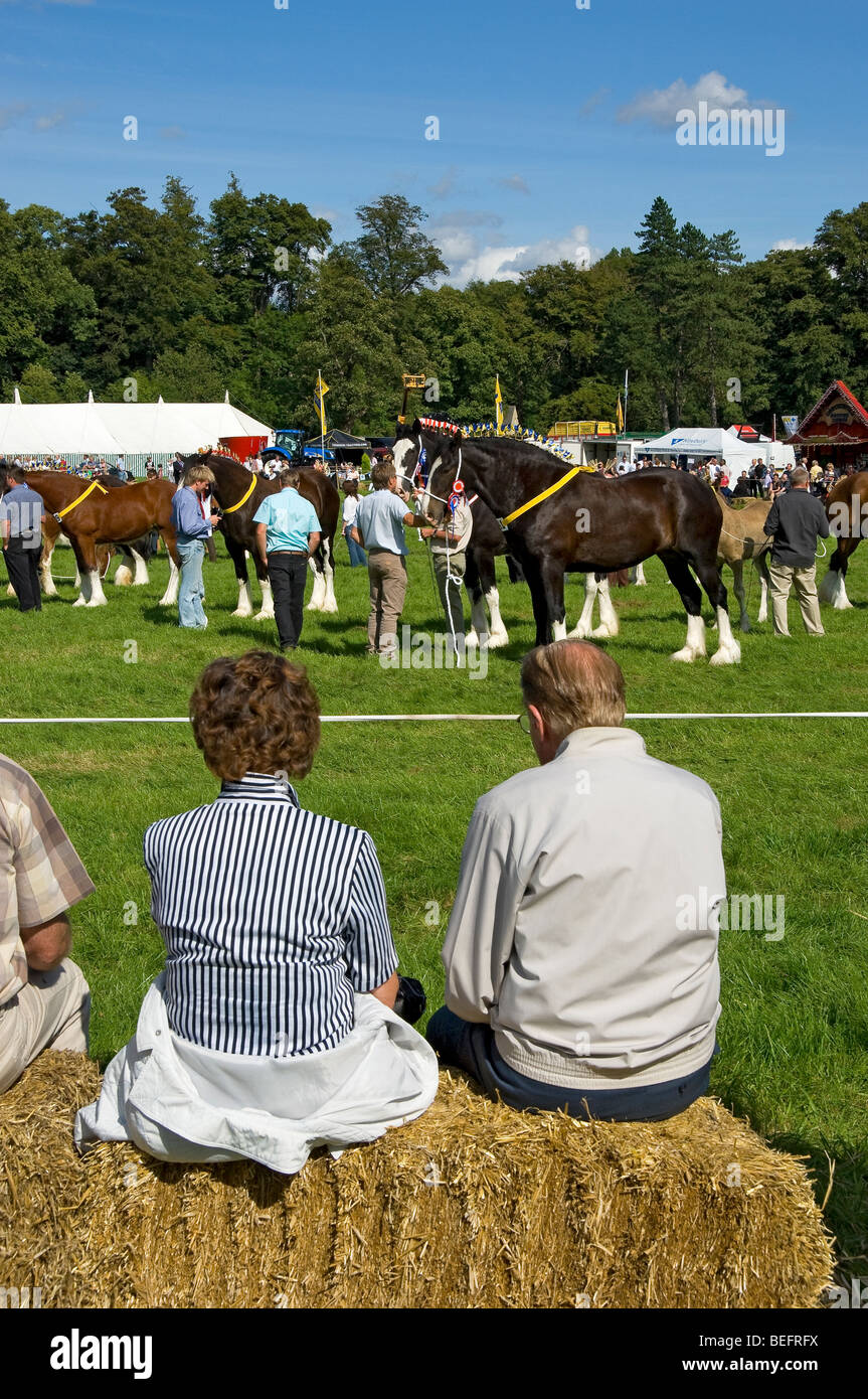 Spectators people watching heavy horse horses competition in summer Gargrave Show near Skipton North Yorkshire England UK Stock Photo