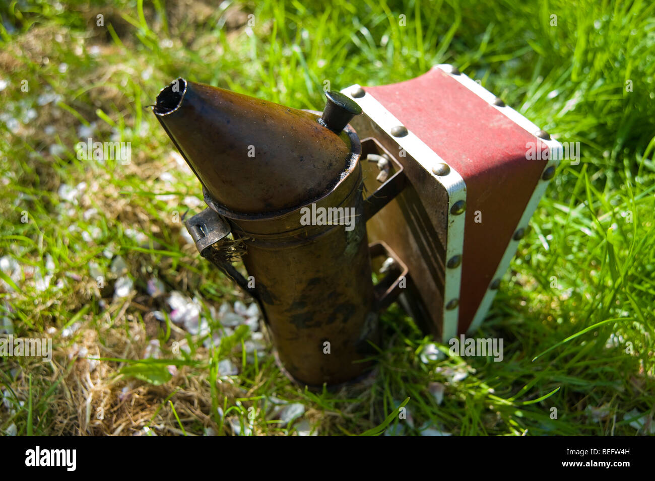 Bee keeper's smoker in an orchard, Sandford. North Somerset, England. Stock Photo