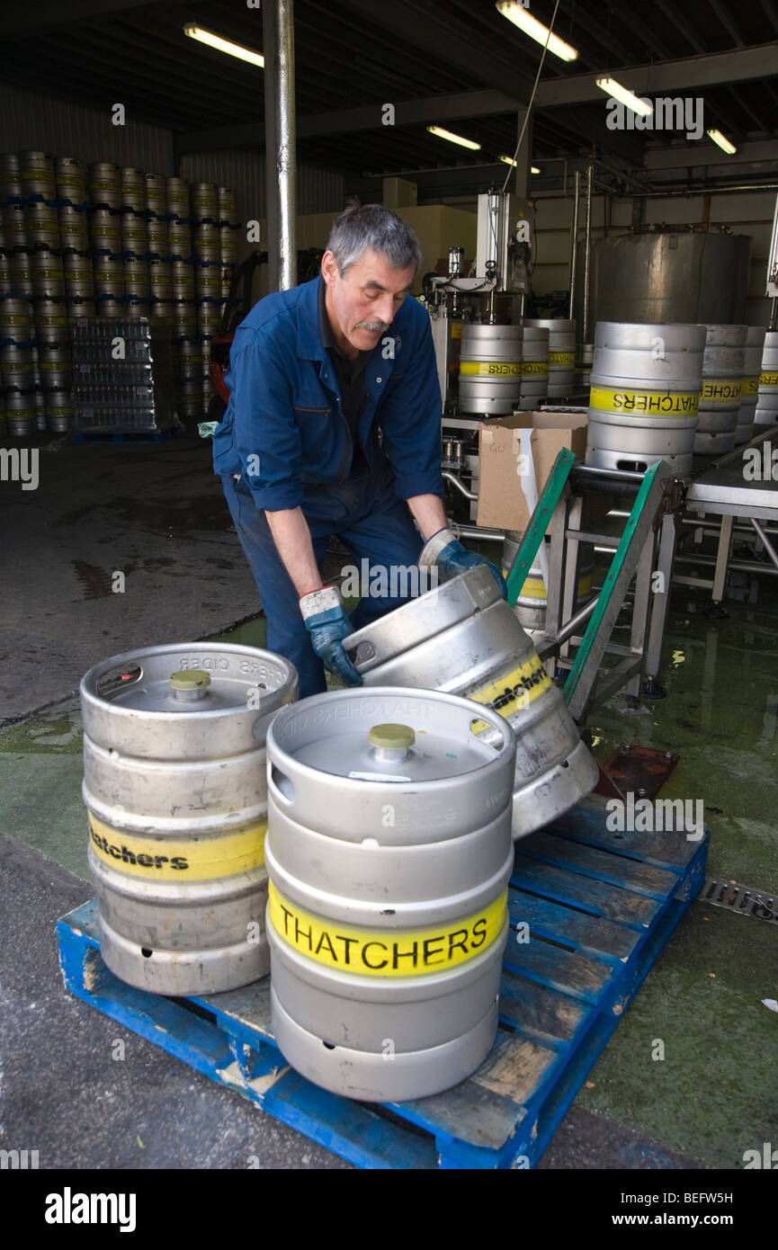 Thatchers Cider Barrels Filled with Cider and Loaded. Stock Photo