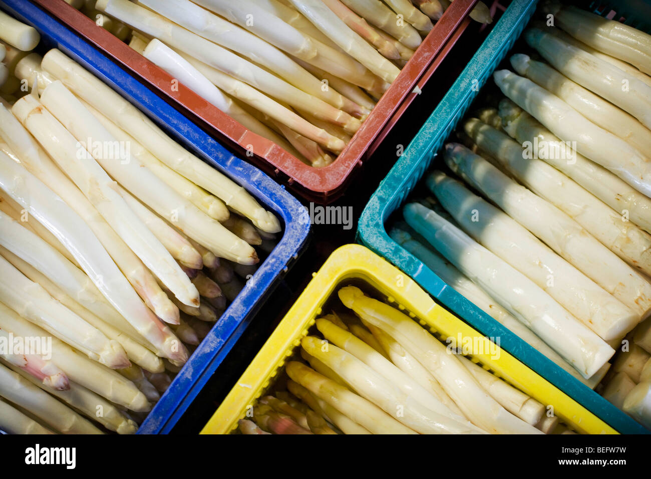 Asparagus. VEGETABLE Stock Photo