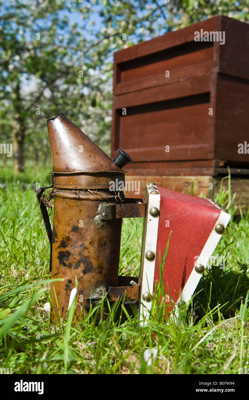 Bee keeper's smoker and bee hive in a cider apple orchard, Sandford