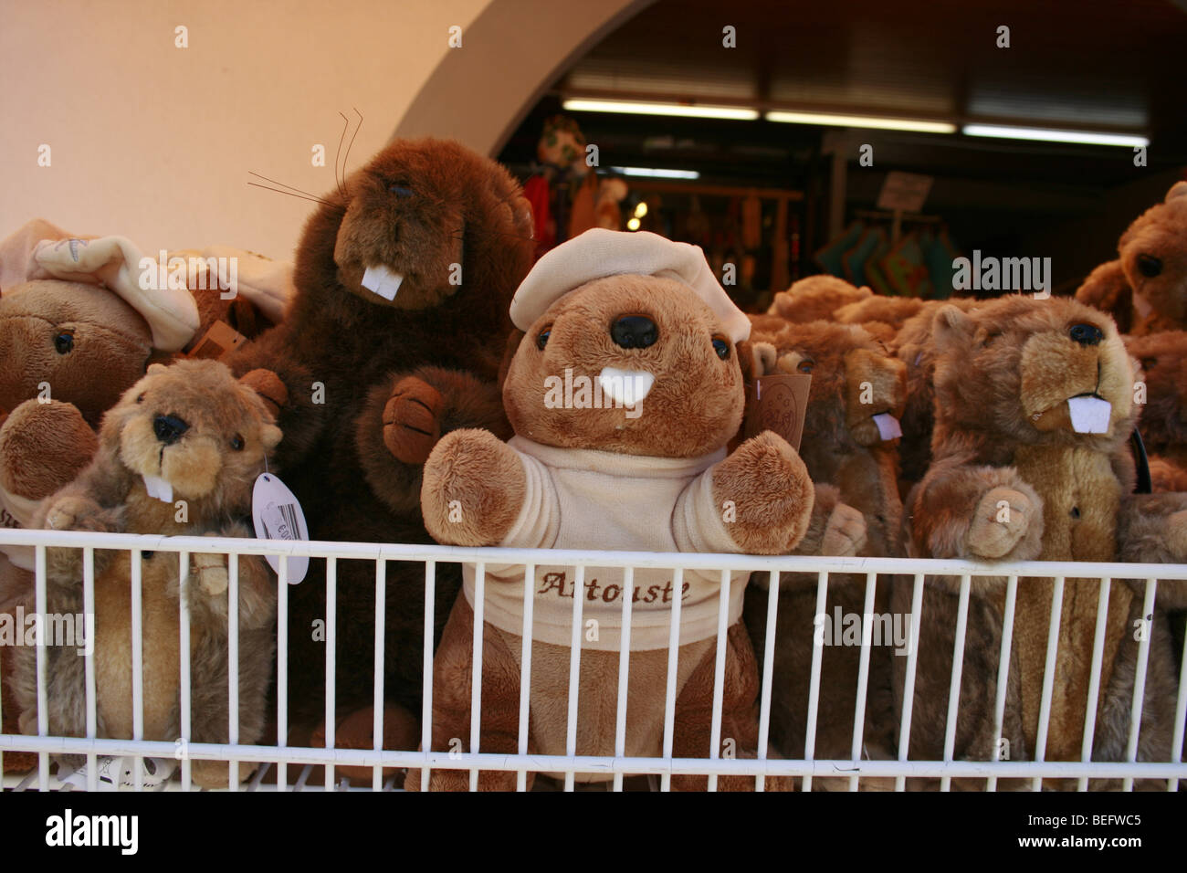 Cuddly toy marmottes for sale in a shop in the ski resort of Artouste, French Pyrenees Stock Photo