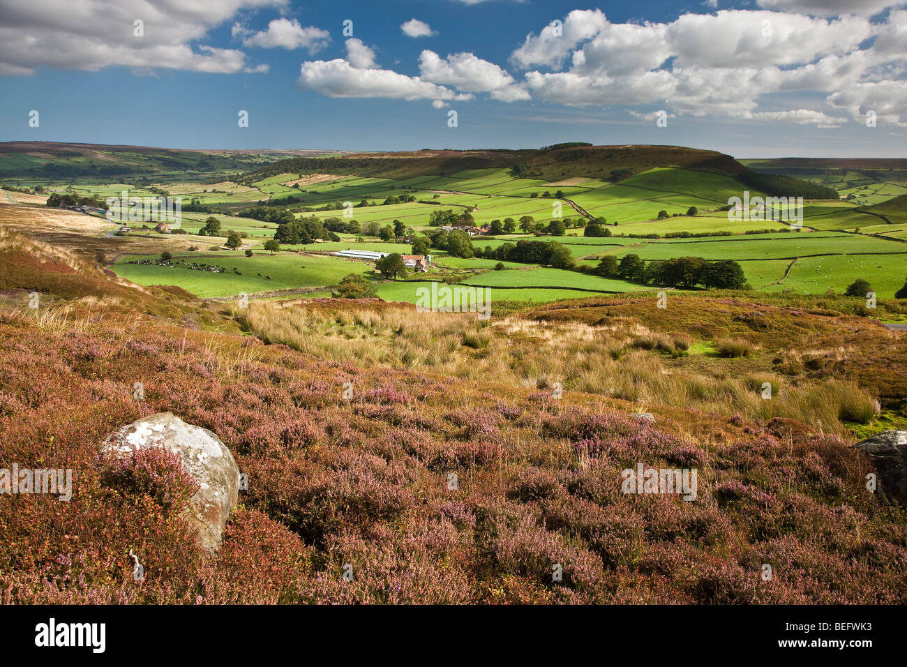 Little Fryupdale in early September, North York Moors National Park Stock Photo
