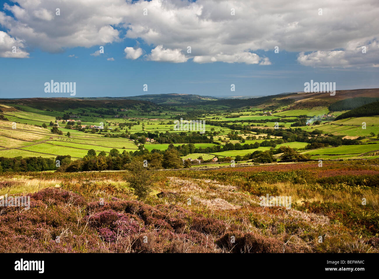 glaisdale-in-early-september-north-york-moors-national-park-stock