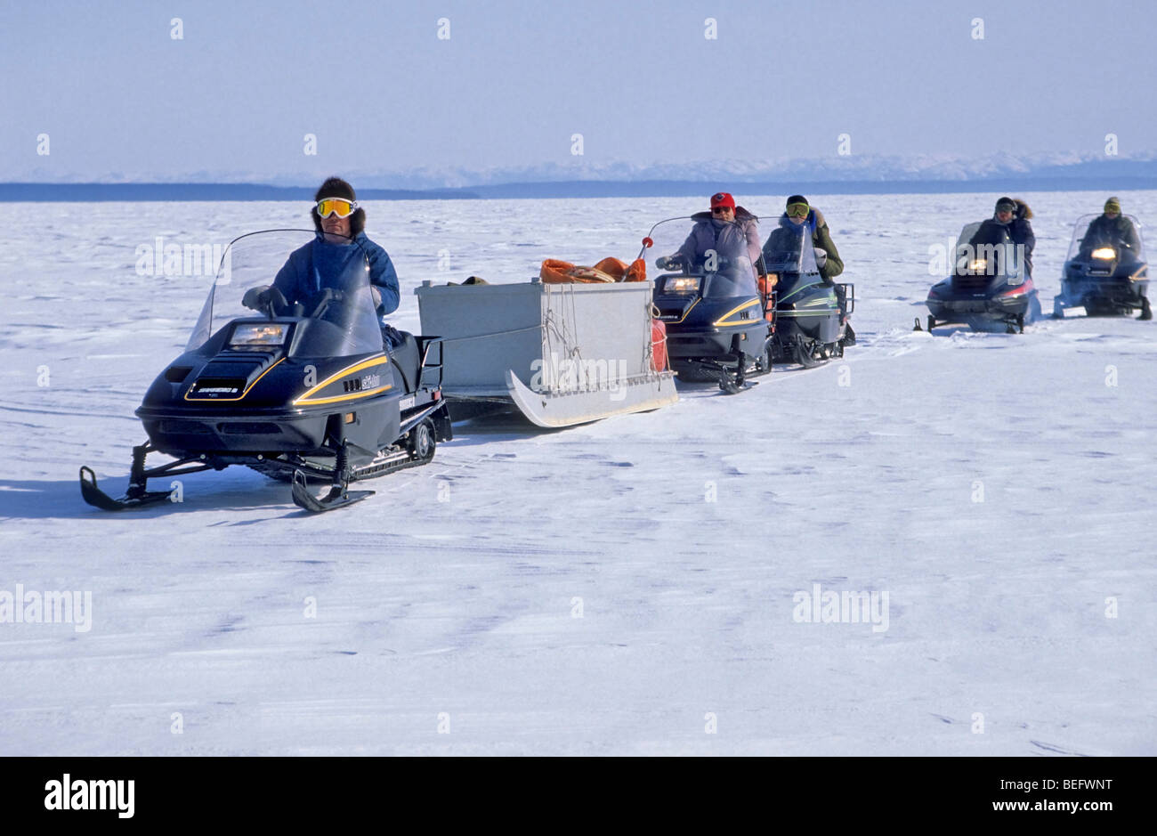 Snowmobiles cross frozen Lake Melville carrying supplies on cargo sleds