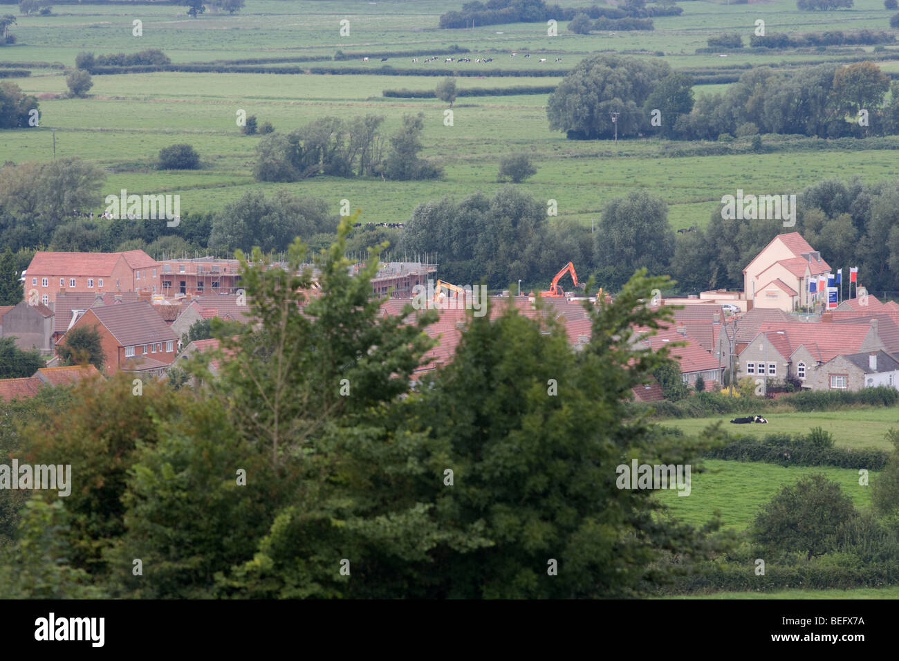 New Housing being built on the Somerset Levels Stock Photo Alamy