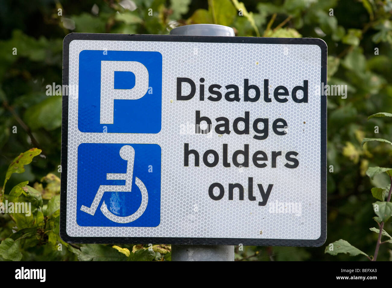 Disabled Badge Holders Sign Stock Photo