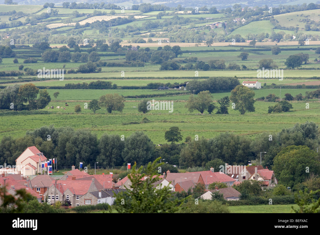 New Housing being built on the Somerset Levels Stock Photo Alamy