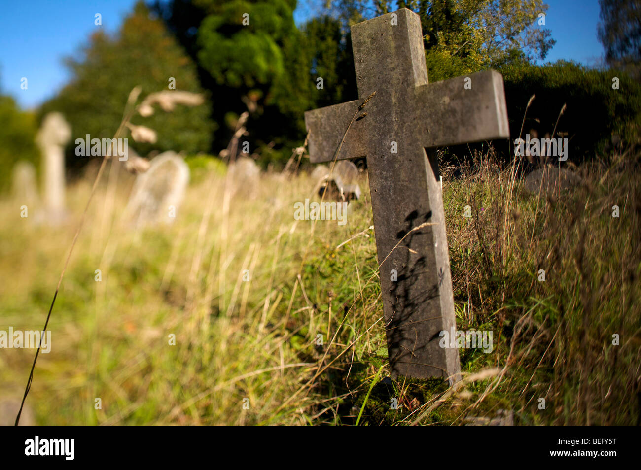 Old gravestones in a churchyard Stock Photo - Alamy