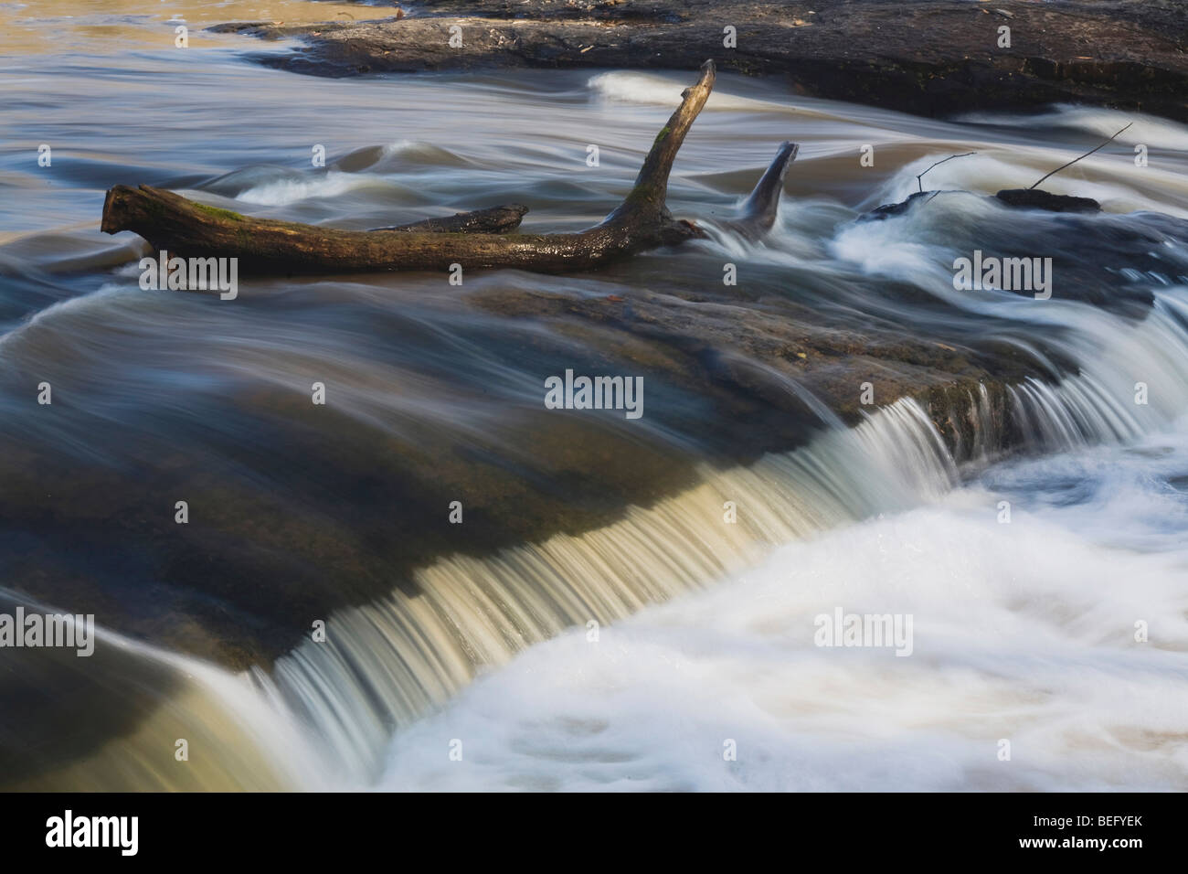 Log and small waterfall, Cape Fear River, Raven Rock State Park