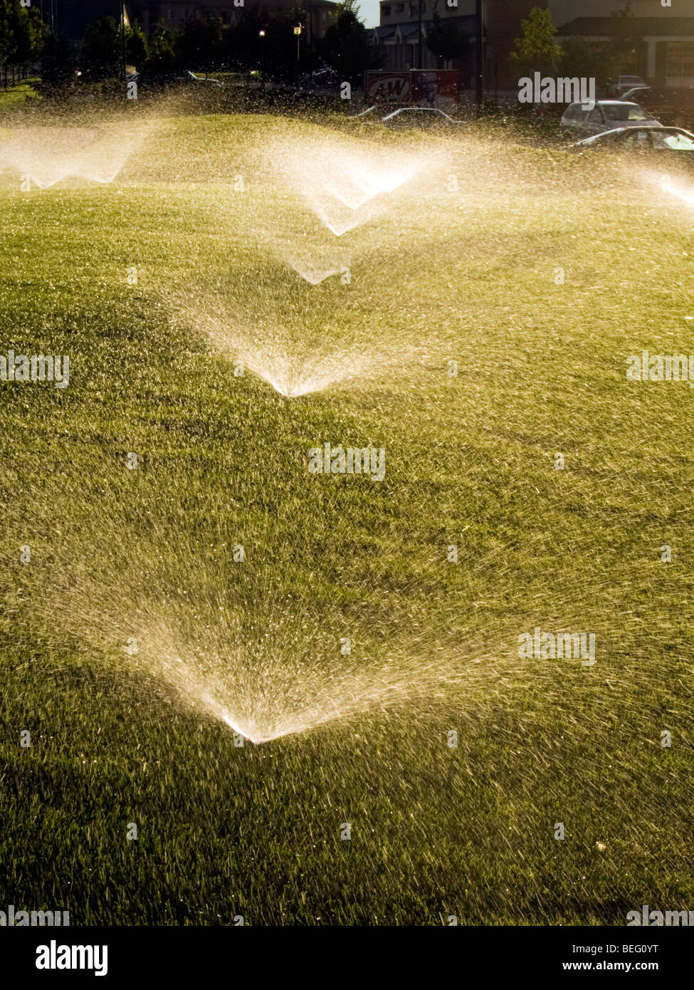 Water sprinklers irrigate lawn Stock Photo - Alamy