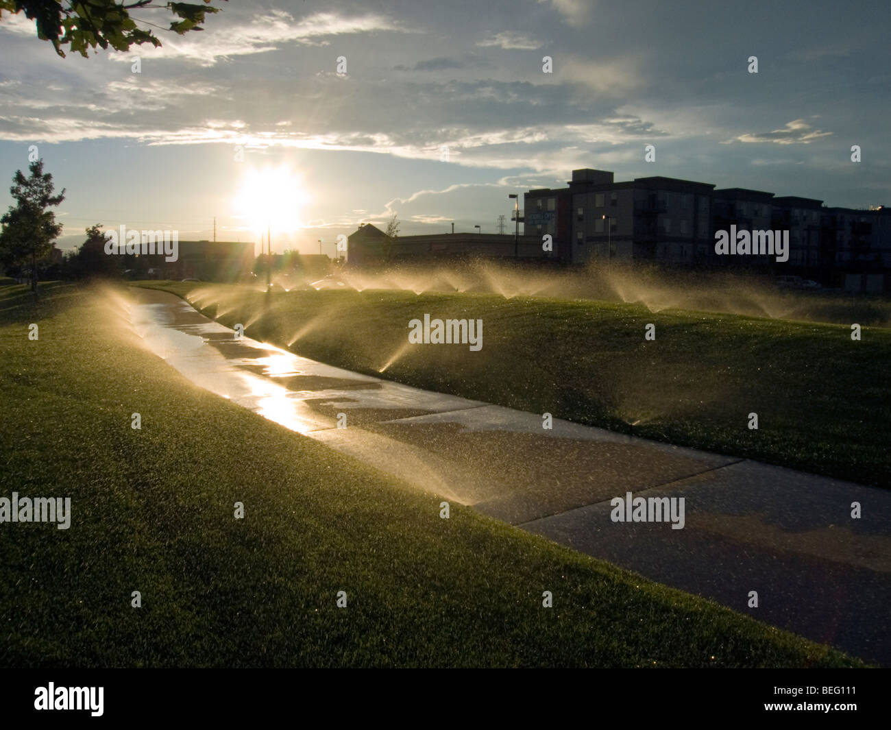 Water sprinklers irrigate lawn Stock Photo - Alamy