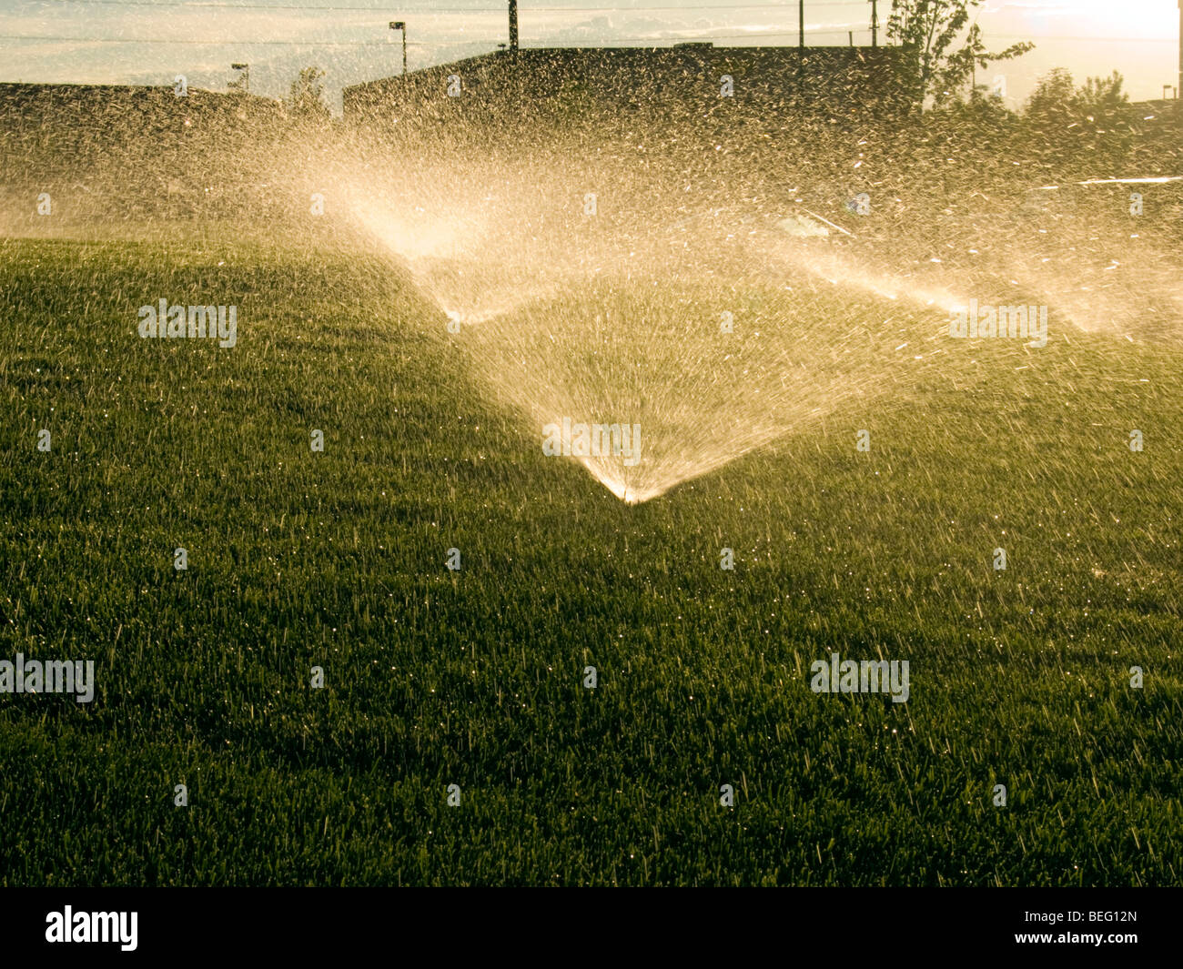 Water sprinklers irrigate lawn Stock Photo - Alamy