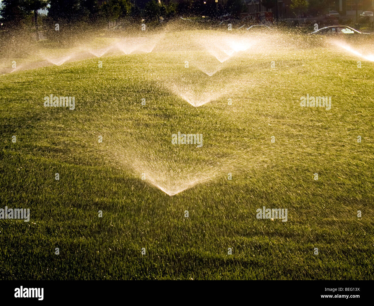 Water sprinklers irrigate lawn Stock Photo - Alamy