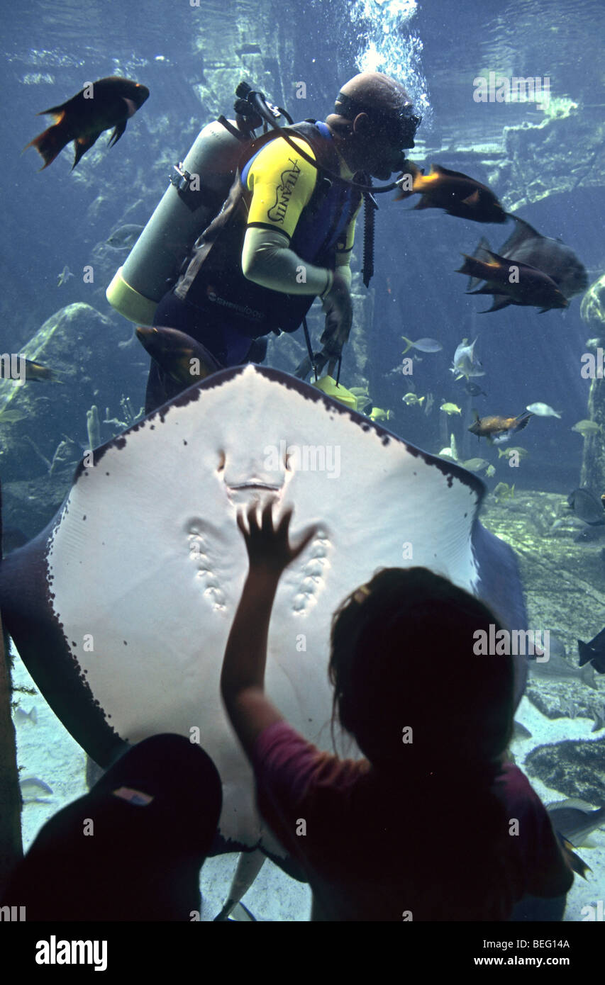 Children watching diver feeding exotic fish inside the aquarium at Atlantis Hotel, Nassau