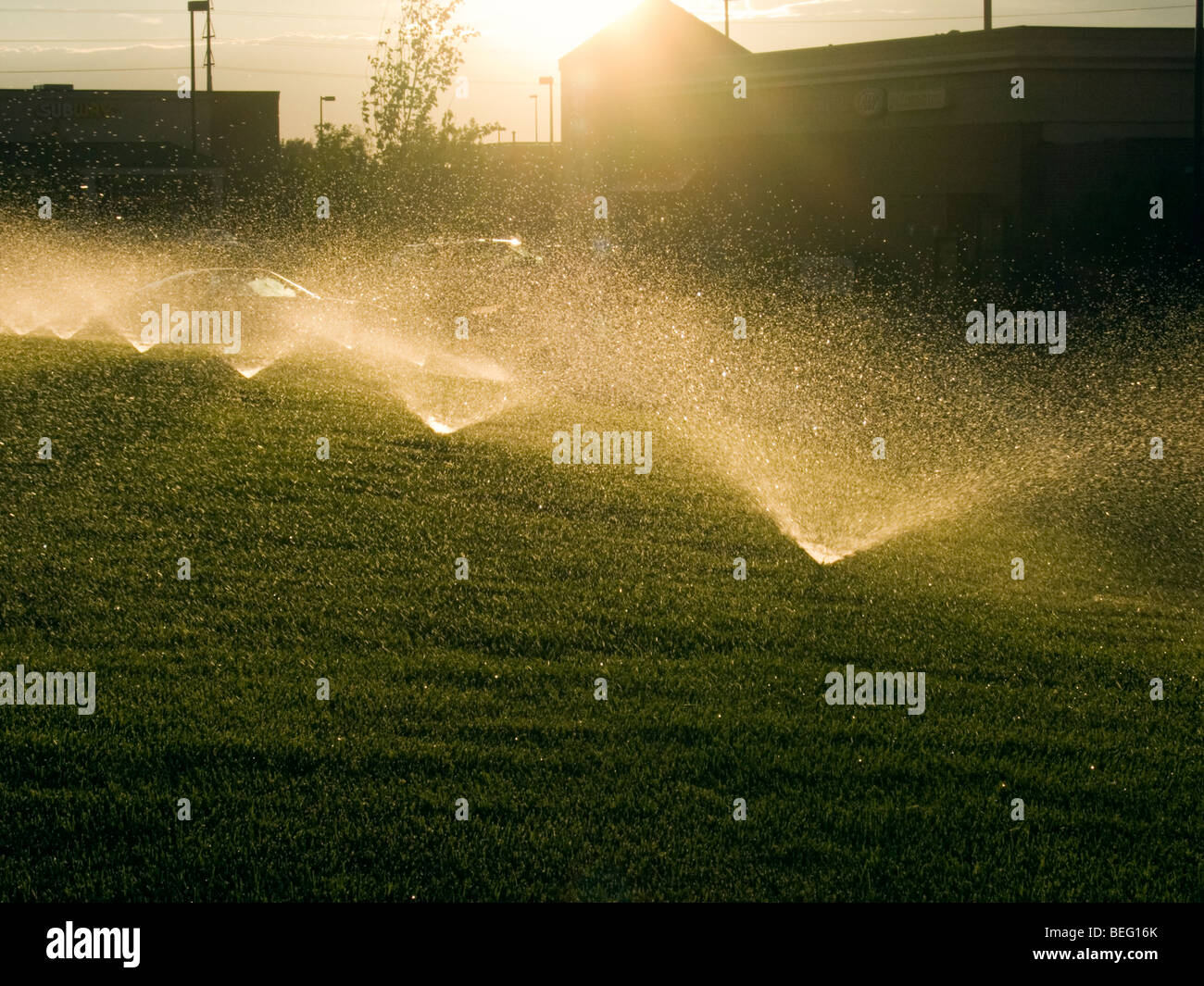 Water sprinklers irrigate lawn Stock Photo - Alamy