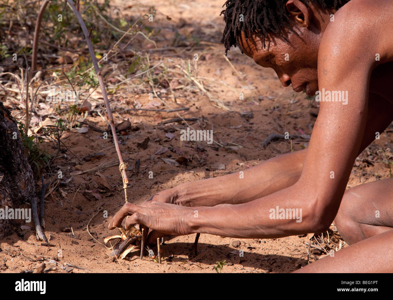 San Village. Setting a sprung lasso trap to catch 'lunch'. Stock Photo