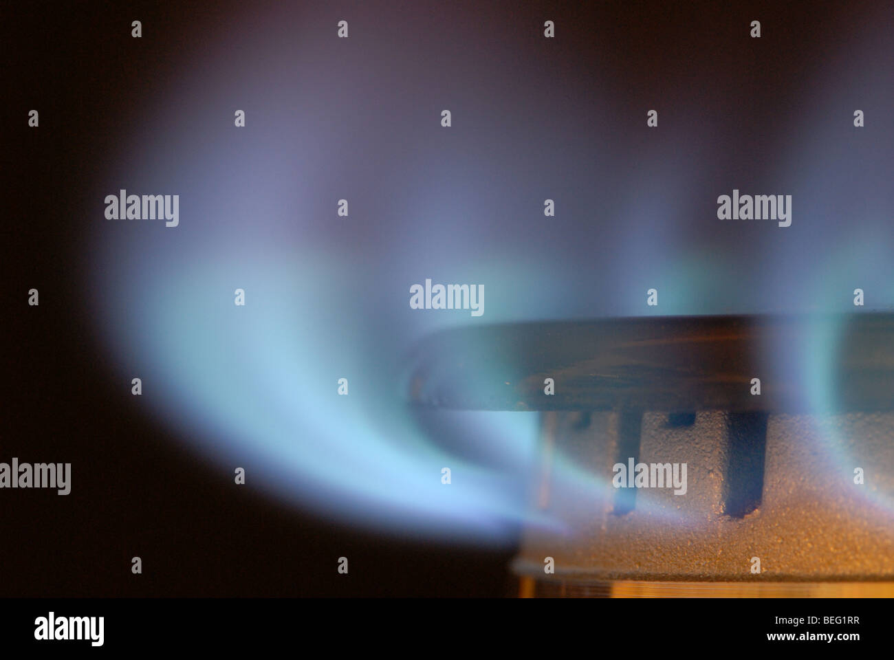 Gas hob burning Stock Photo Alamy