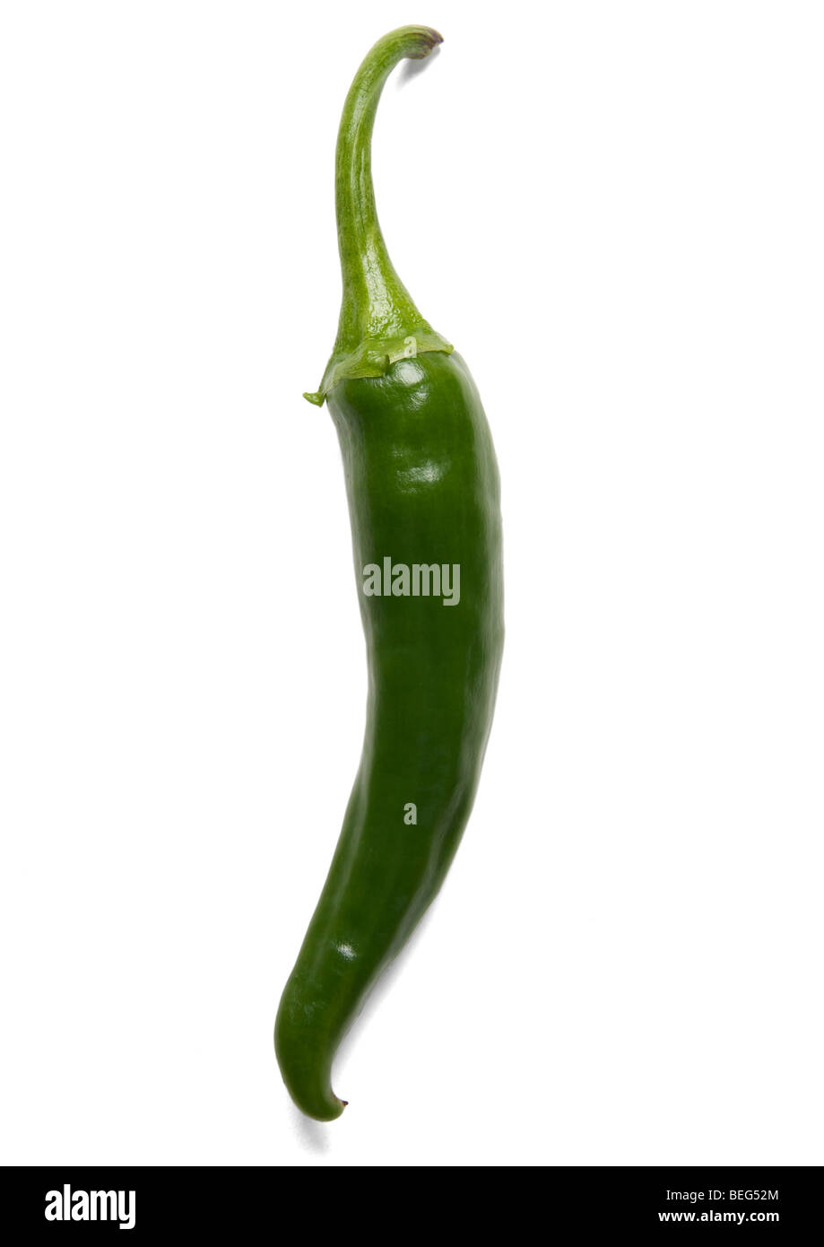 Green chilli on white background Stock Photo - Alamy