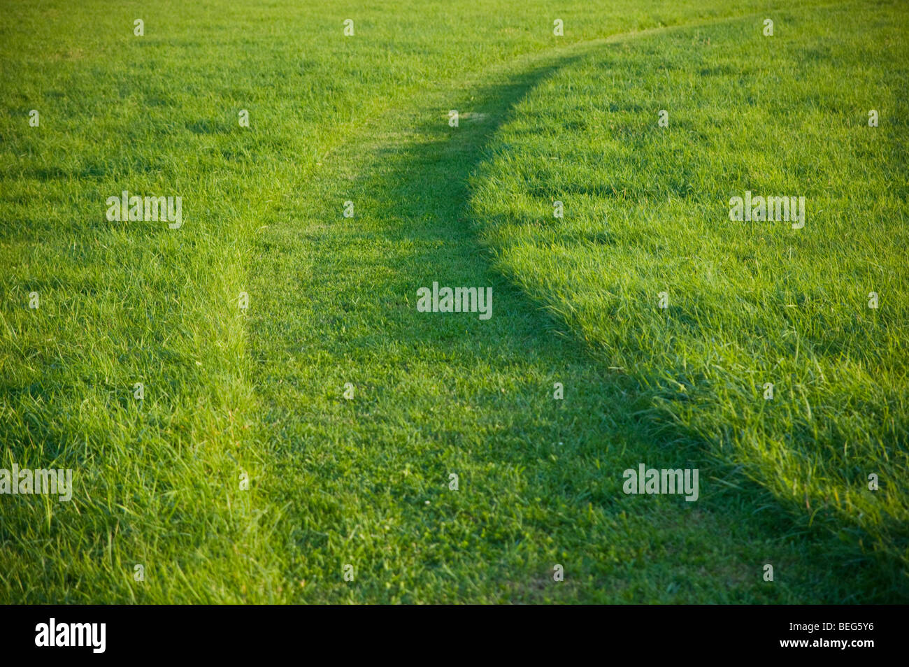 Walking path mowed through a green field in a park Stock Photo
