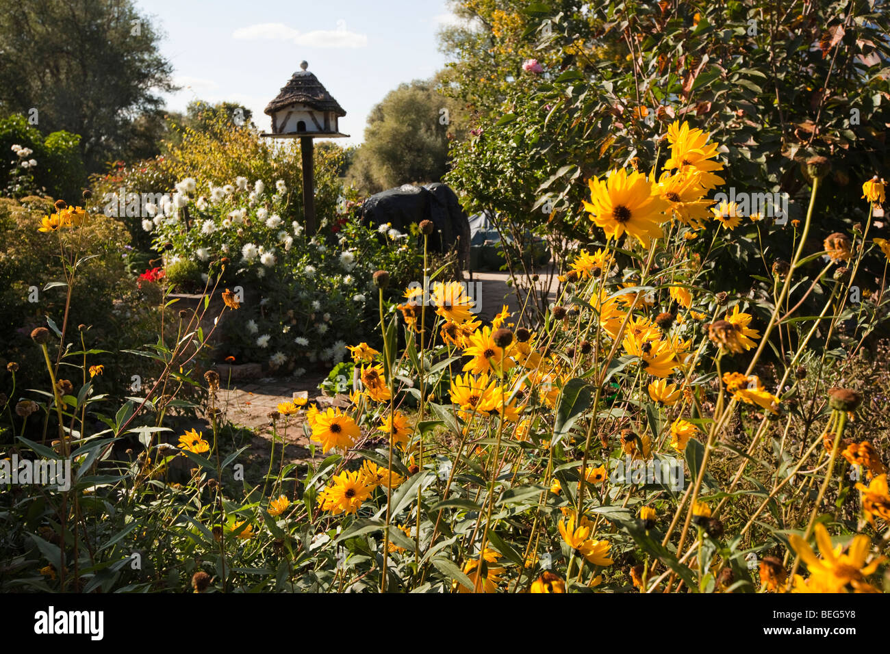 England, Cambridgeshire, Hemingford Grey, colourful flowers in