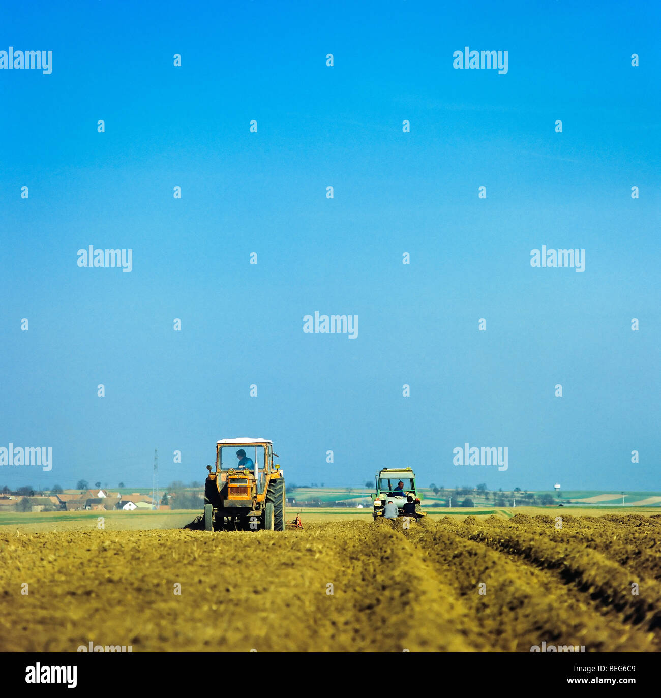 Planting potatoes, Alsace, France Stock Photo