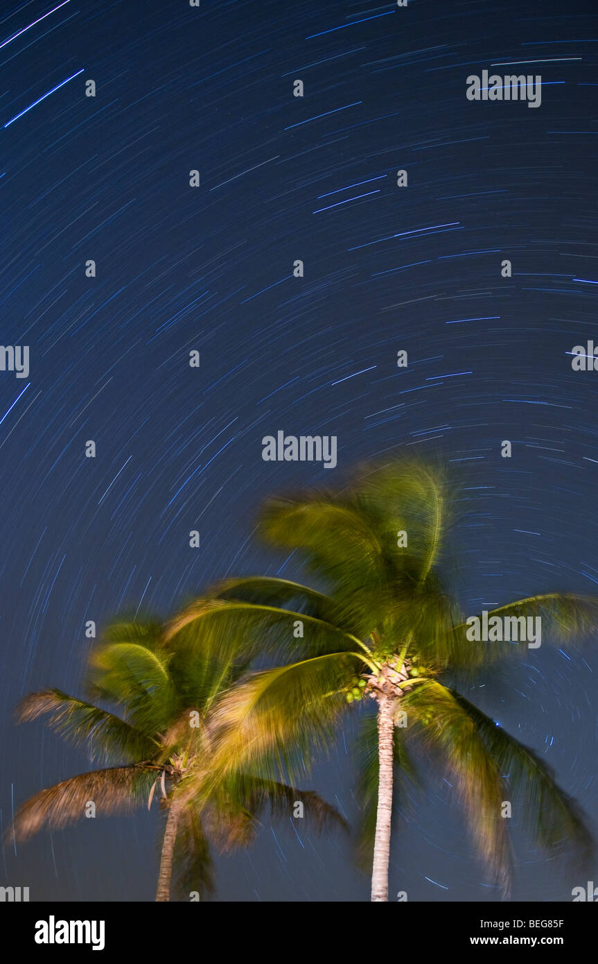 Time exposure shows star trails rotating around Polaris, Flamingo area, Everglades National Park, Florida Stock Photo