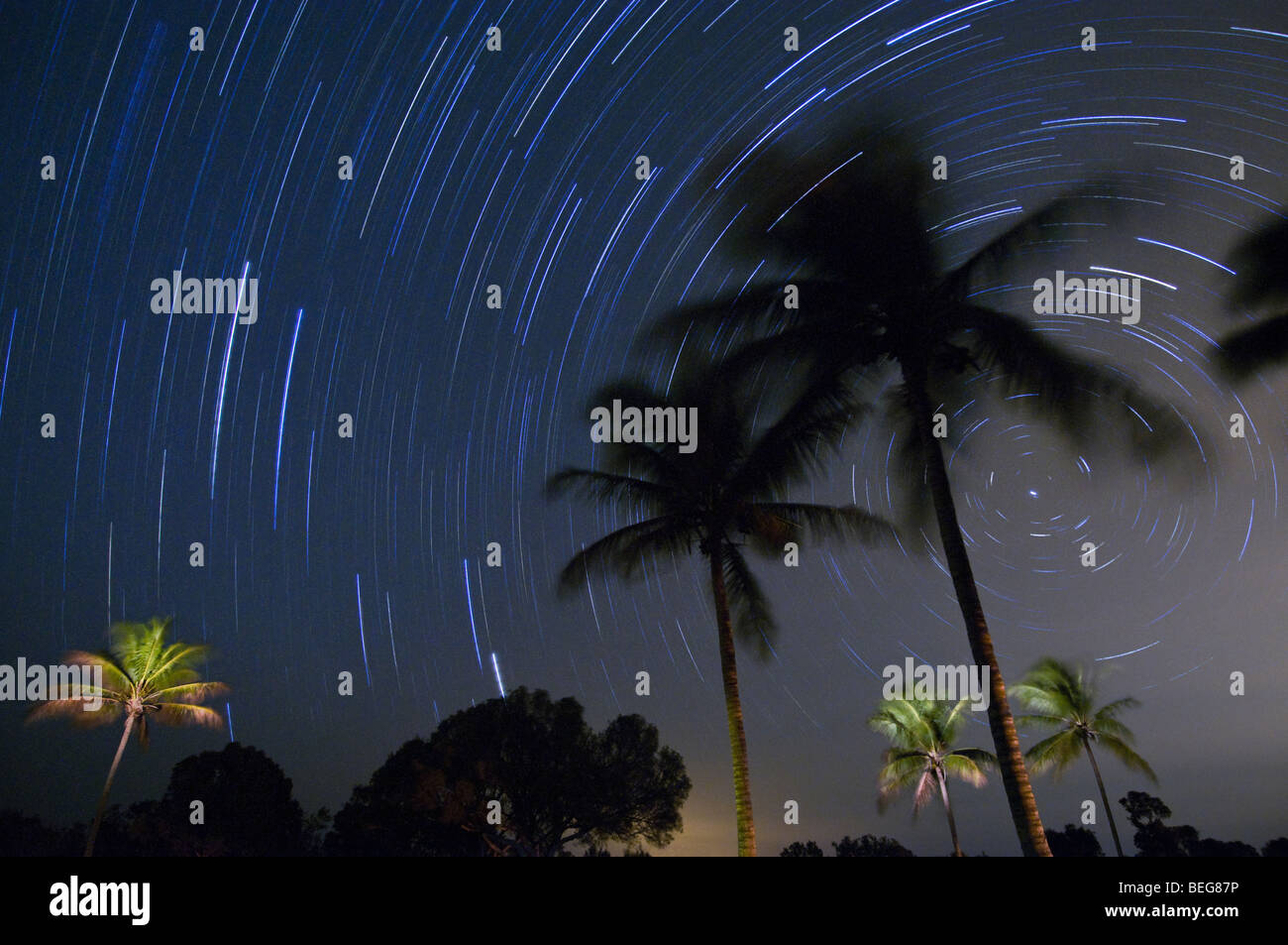 Time exposure shows star trails rotating around Polaris, Flamingo area, Everglades National Park, Florida Stock Photo