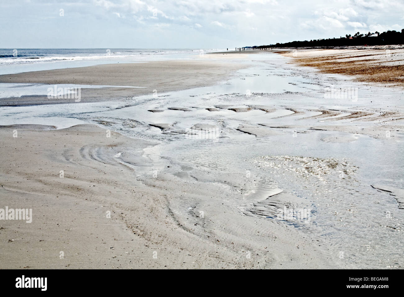 Beach at low tide in Jacksonville Beach, Florida Stock Photo Alamy