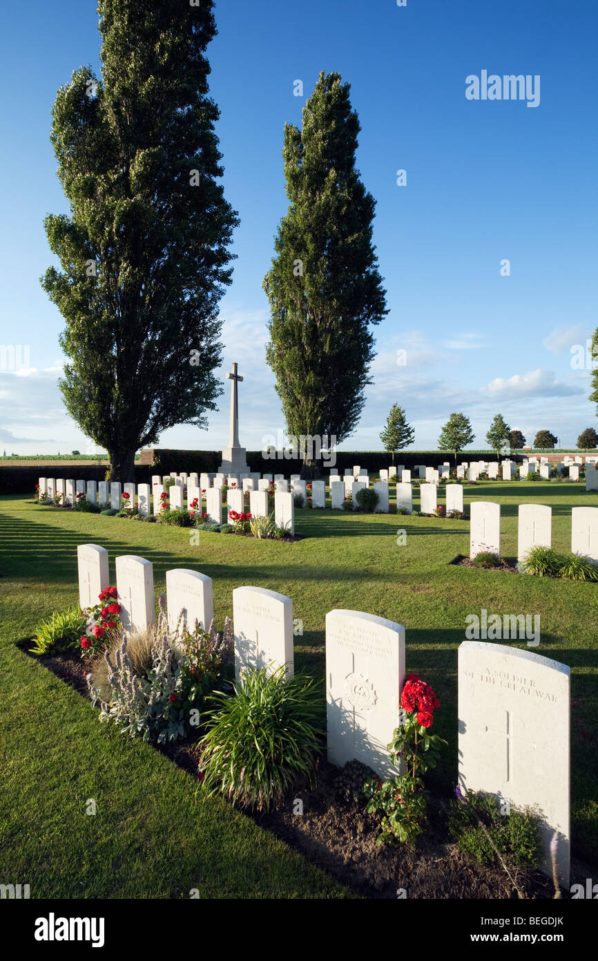 First World War British military cemetery with Poplar trees. Stock Photo