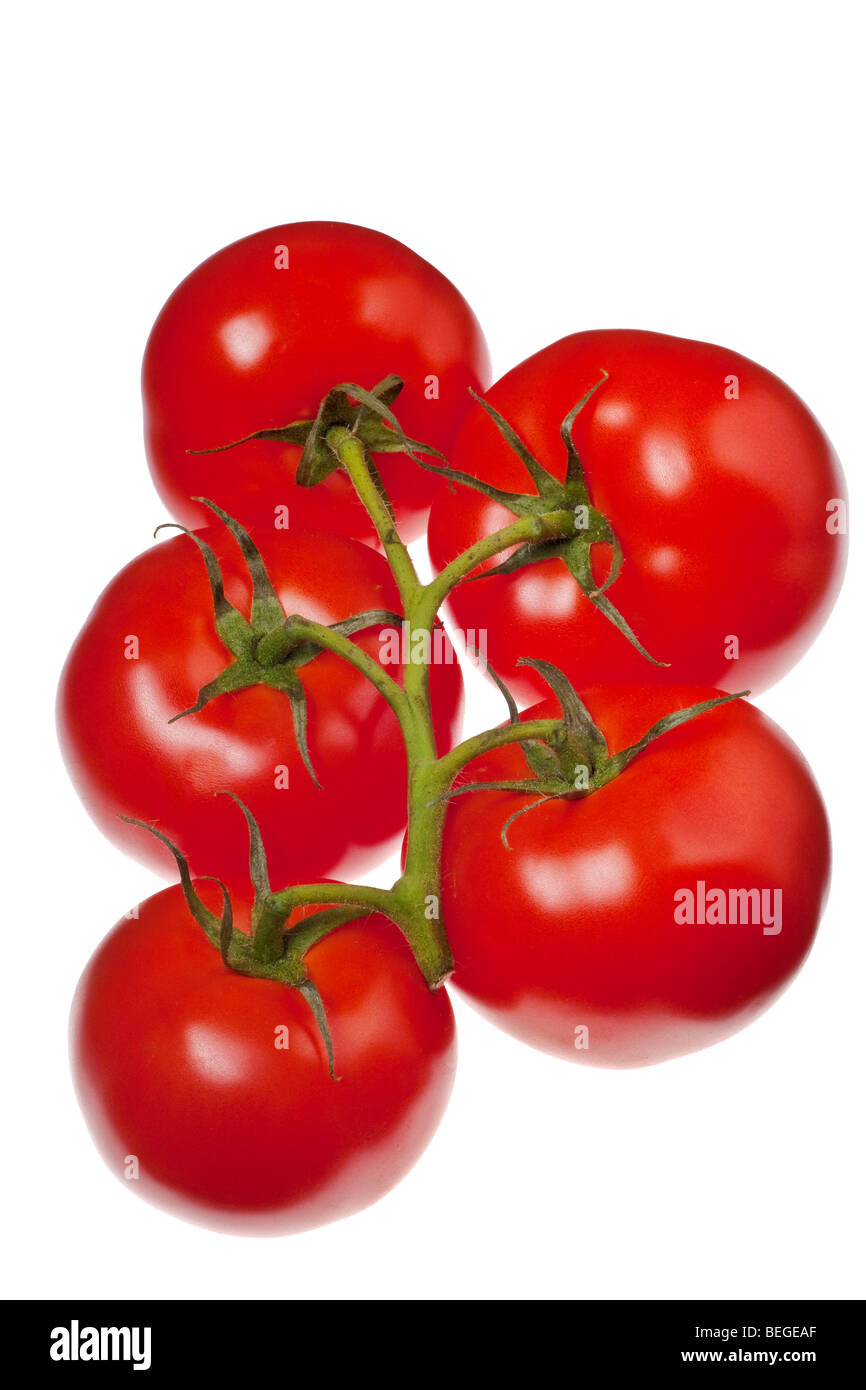 tomatoes isolated on a pure white background Stock Photo - Alamy