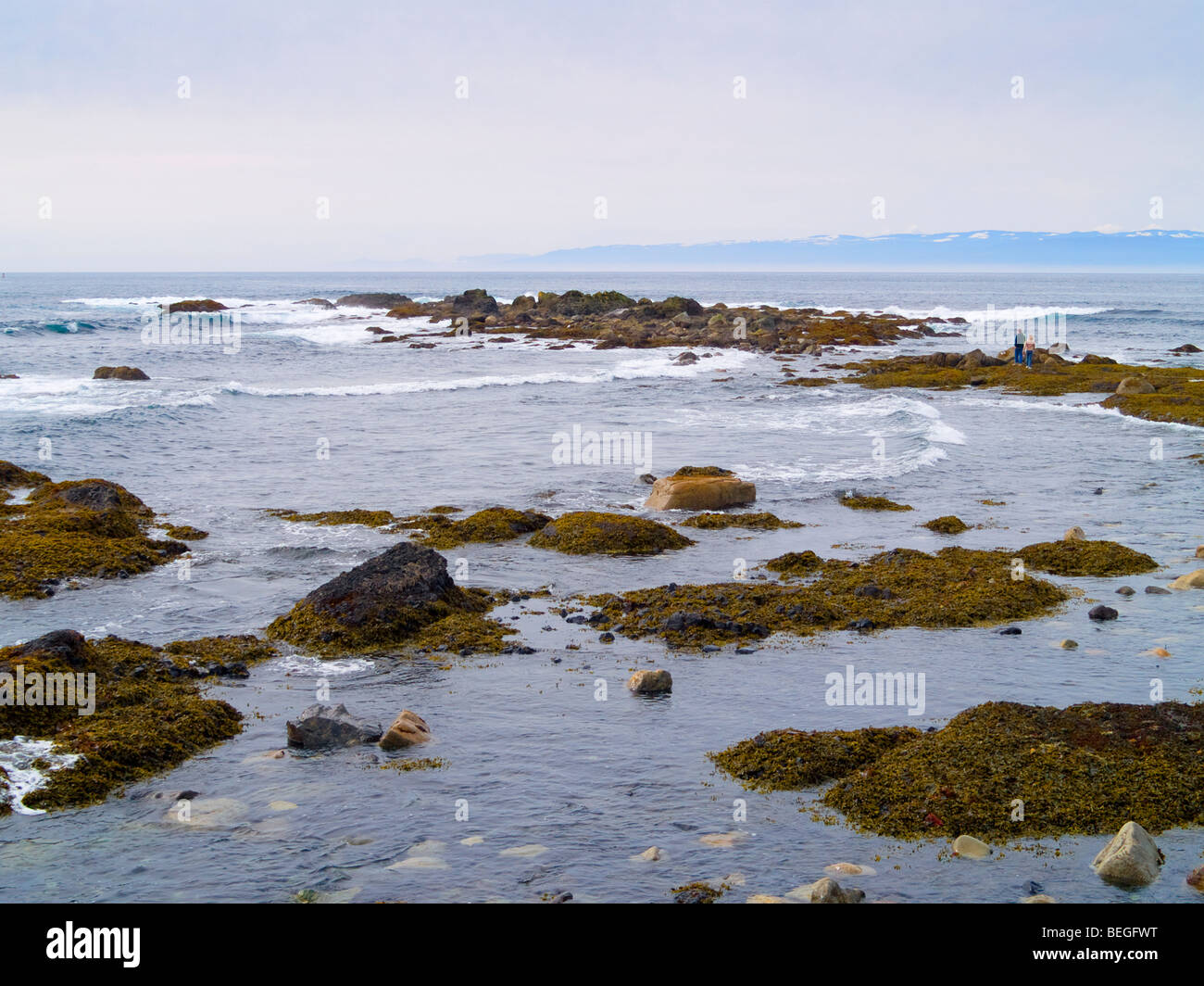 Salt Creek Rocks Salt Creek Recreation Area High Resolution Stock Photography and Images ...