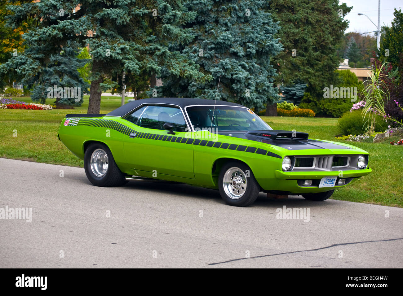 Barracuda car deals