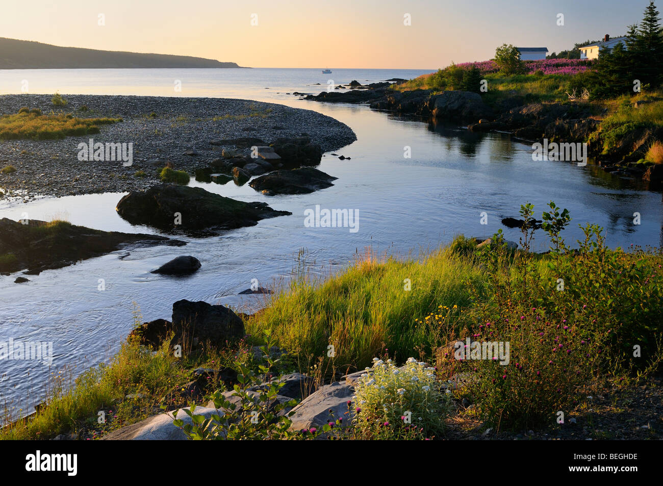 Wildflowers along Mobile River at sunset over Atlantic ocean with a boat in the Bay on Avalon Peninsula Newfoundland Stock Photo