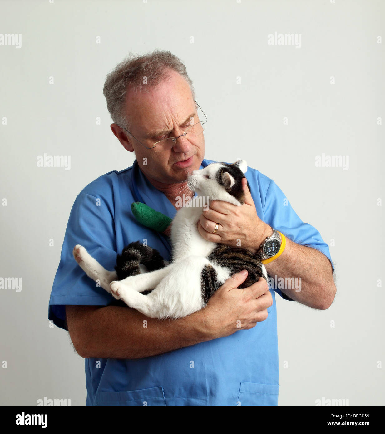 Mature male vet with a pet cat, paw in a green bandage Stock Photo