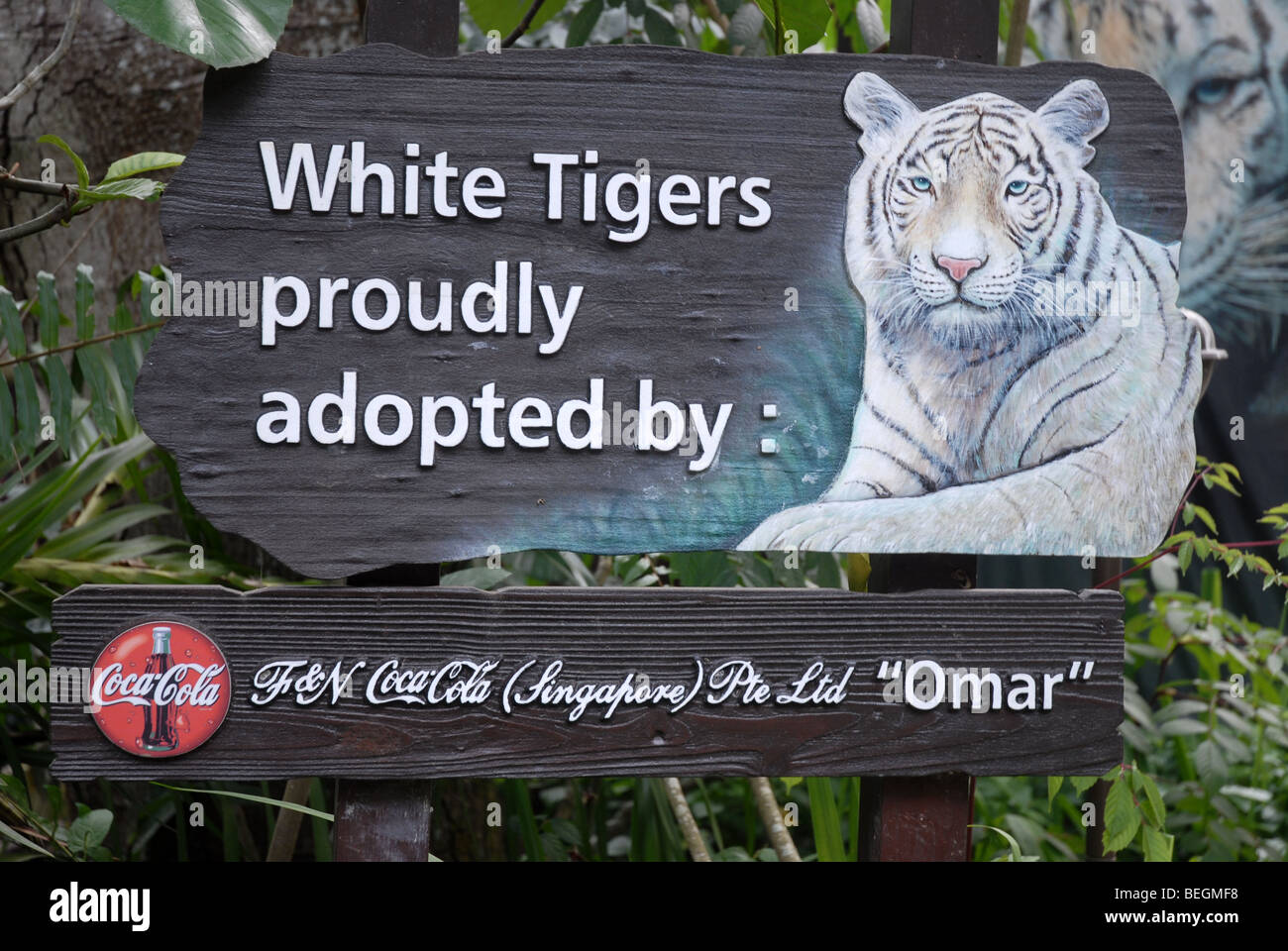 White Tigers Proudly Adopted by F&N Coca-Cola