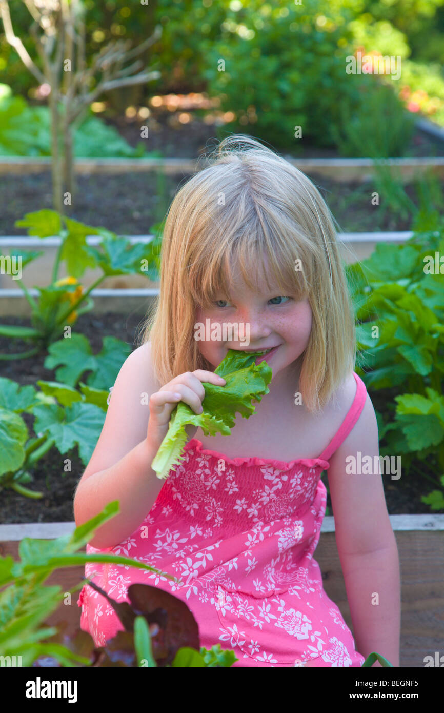 Young girl eating a lettuce leaf in a vegetable garden Stock Photo